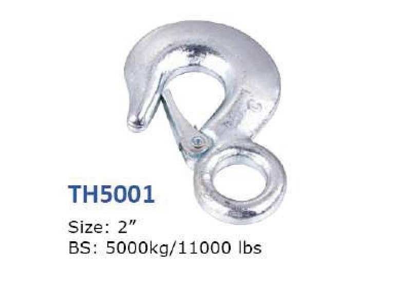 TH5001